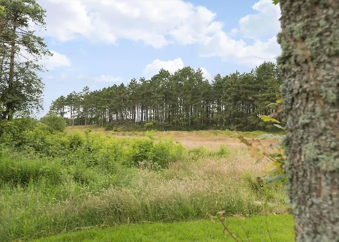 0208-romo-grammarkvej-4 *